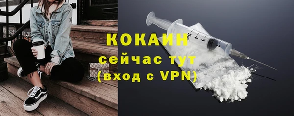 ALPHA-PVP Гусев
