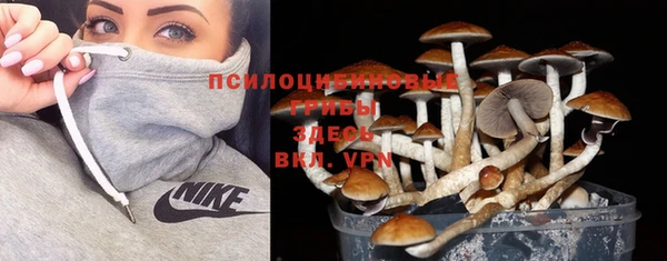 соль курить ск Горнозаводск