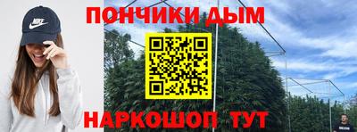 твердый Гай