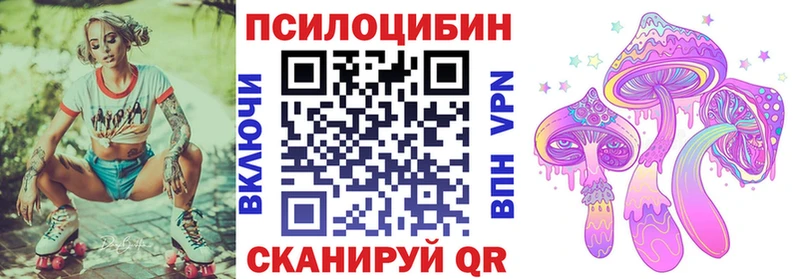 Галлюциногенные грибы Psilocybine cubensis  Всеволожск 