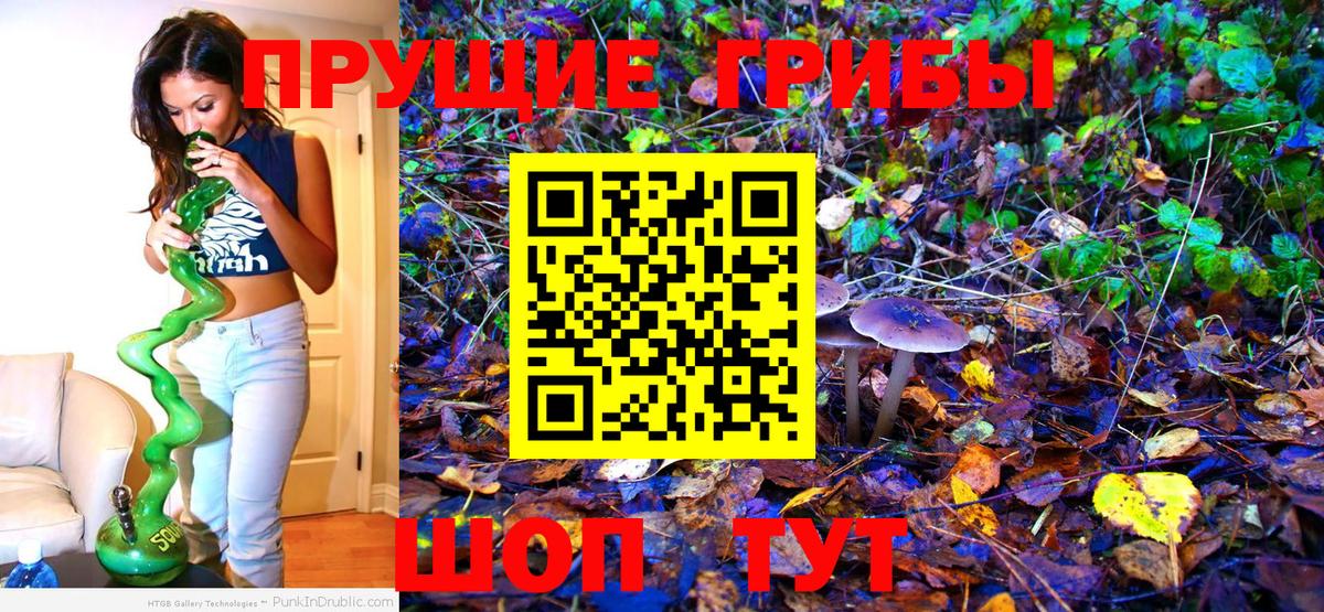 Галлюциногенные грибы MAGIC MUSHROOMS Всеволожск