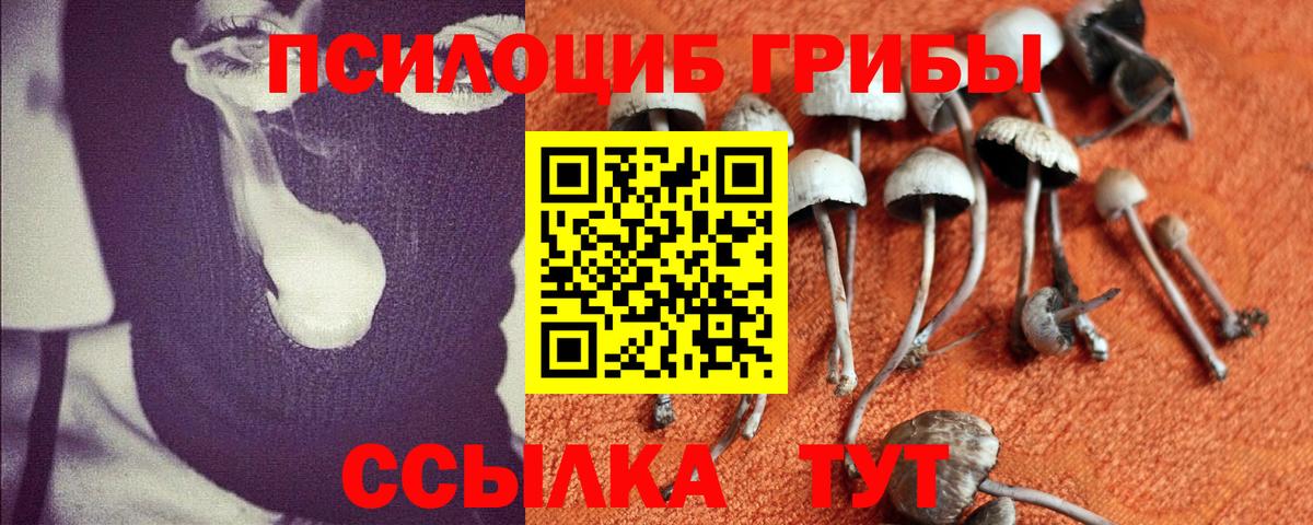 Галлюциногенные грибы Magic Shrooms  Всеволожск 