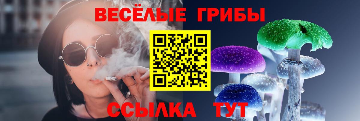 Всеволожск  Псилоцибиновые грибы Psilocybe  Вход с VPN 
